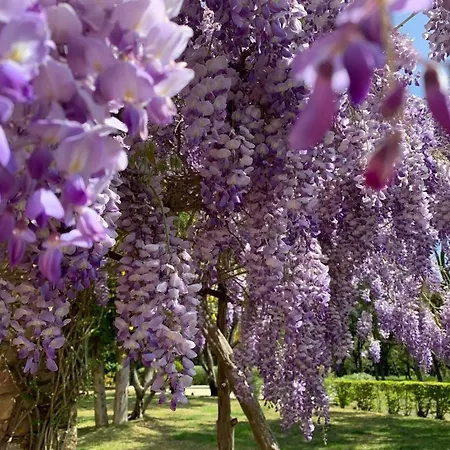 Provencale Familiale Avec Piscine فيلة *