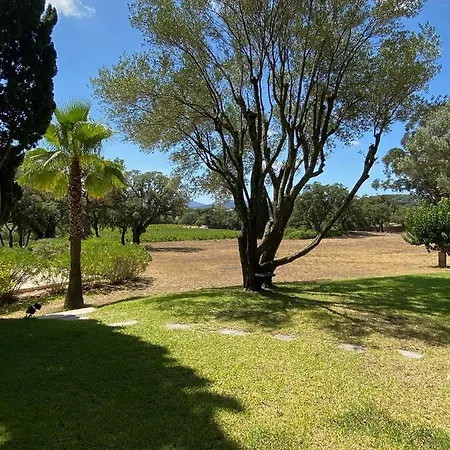 Provencale Familiale Avec Piscine