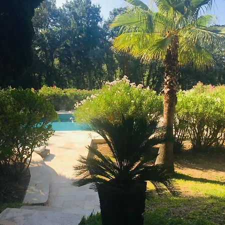 Provencale Familiale Avec Piscine * グリモー