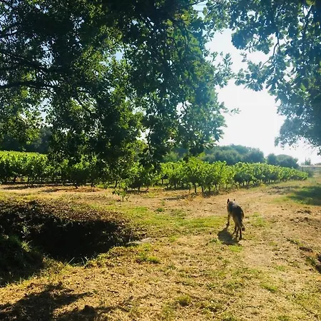 Villa Provencale Familiale Avec Piscine *