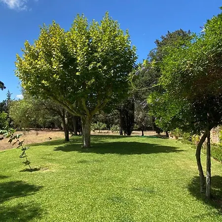 Provencale Familiale Avec Piscine Villa *