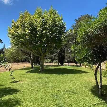 Provencale Familiale Avec Piscine Grimaud