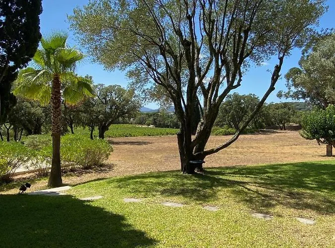 Provençale Familiale Avec Piscine