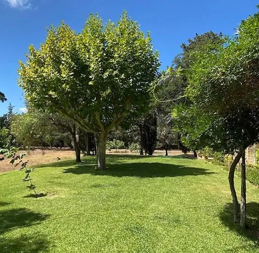 Provençale Familiale Avec Piscine Grimaud